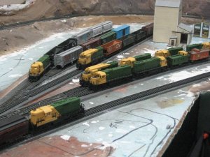 IMG_0126.jpg