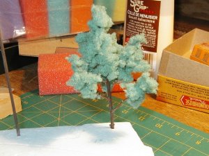 tree04 lo-res.jpg