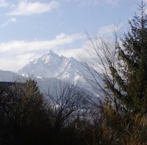alps1.jpg