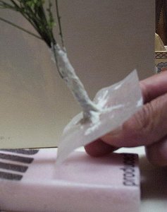 wax paper skirt.jpg