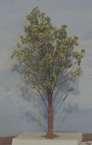 tree4.jpg