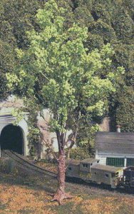 tree3.jpg