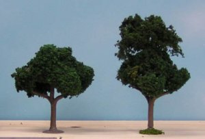 trees.jpg