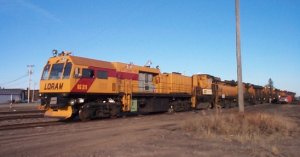 loram_rg311.1.jpg