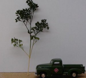p1010195jpg.jpg