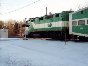 go crossing.jpg