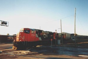 6-shearwater-auto.jpg