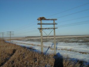 image001.jpg
