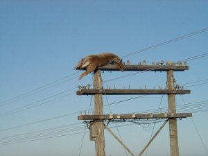 image002.jpg