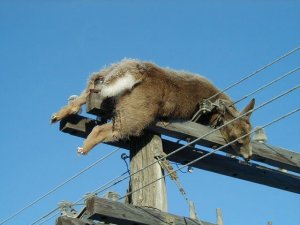 image003.jpg