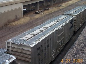 bn800001.1.jpg