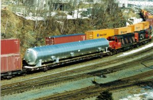cdn002.jpg