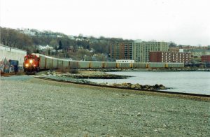 cdn007.jpg