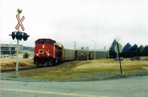 cdn008.jpg