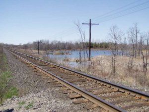 track 1.jpg