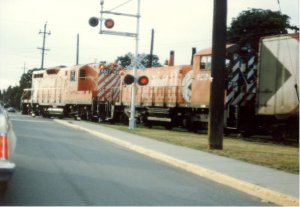gp 9's 6 shrunk 20%.jpg