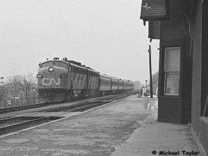 cn6531.jpg