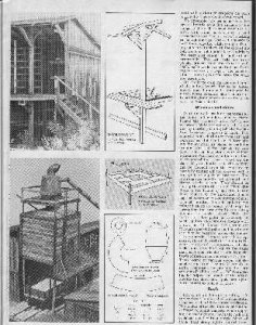 scan 5.jpg