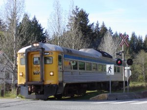 dayliner 1 shrunk 30%.jpg