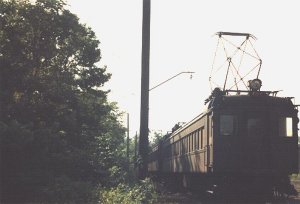 dlw05.jpg