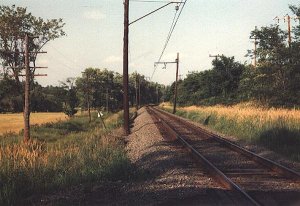 dlw10.jpg