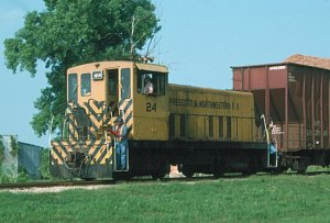 p&n.jpg