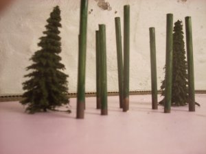 DSCN1728.JPG
