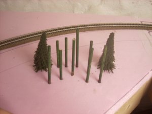 DSCN1729.JPG