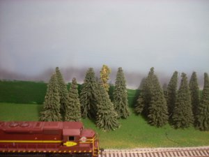 DSCN1725.JPG