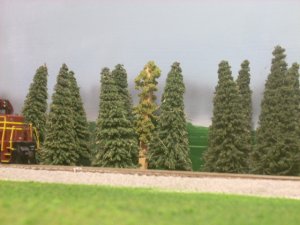 DSCN1726.JPG