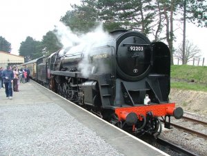 9f.JPG