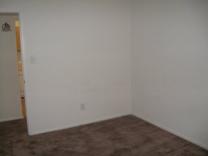 IMG_0181.JPG