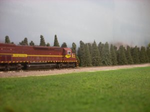 DSCN1759.JPG