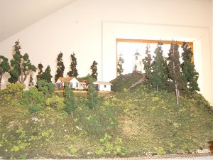 IMGP3718.jpg