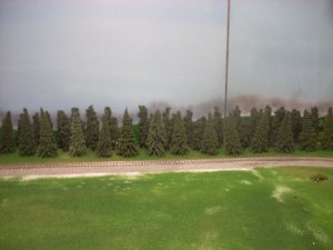 DSCN1771.JPG