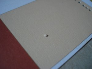 DSC01136.JPG