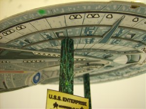 DSCI0439.jpg