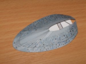 HPIM0742.jpg