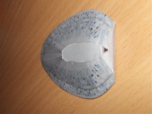 HPIM0744.jpg