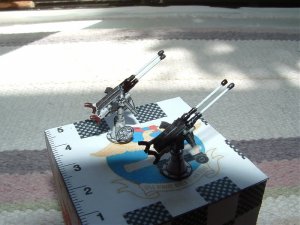 Guns (4).jpg
