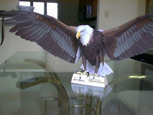 IMAGE002.jpg