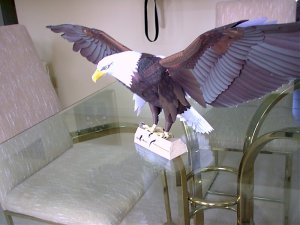 IMAGE003.jpg
