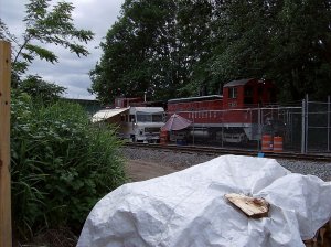073.jpg