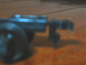 IMG_9952.jpg