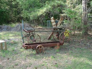 cart 1.JPG