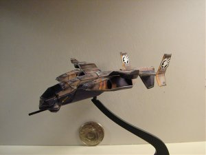 orca 001.jpg