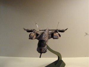 orca 002.jpg