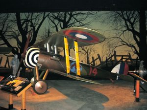 IMG_0073.jpg