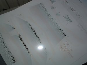 DSCF0105.jpg