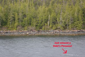 view2.jpg